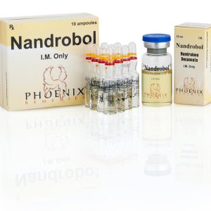 NandroBol